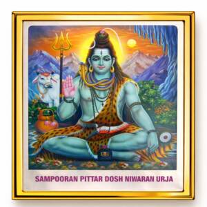 Sampoorna Pitra Dosh Mukti Yantra